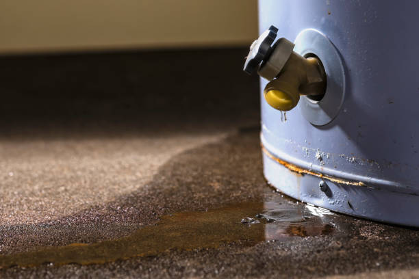 Best 24/7 water damage repair  in Cave City, KY