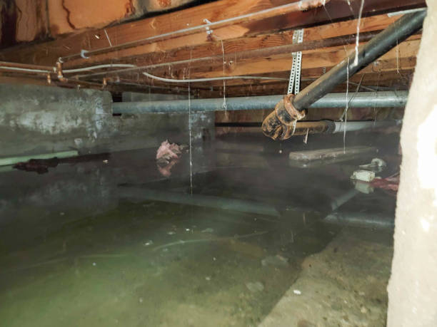 Water damage restoration insurance claims in Cave City, KY