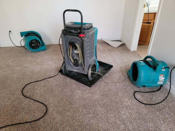 Best Water damage restoration near me  in Cave City, KY