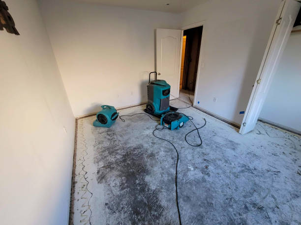  Cave City, KY Water damage restoration Pros