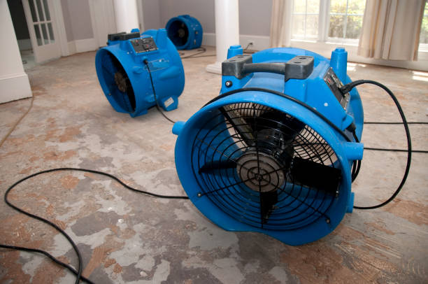 Best Water damage cleanup near me  in Cave City, KY