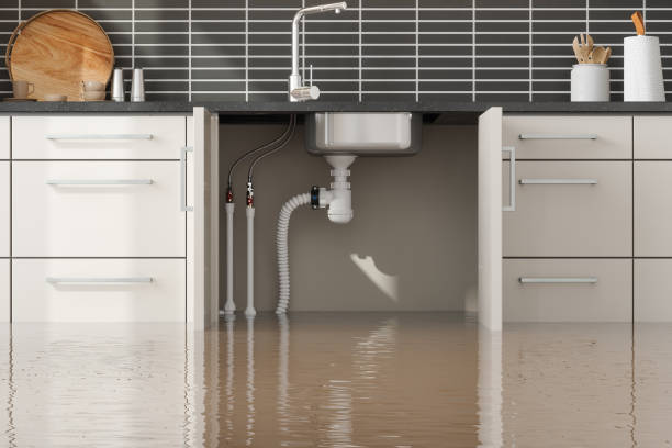 Best Professional water damage repair  in Cave City, KY