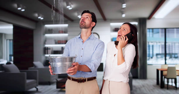 Best Water damage restoration company  in Cave City, KY