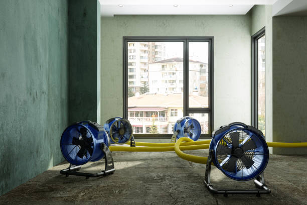 Best Water damage restoration near me  in Cave City, KY