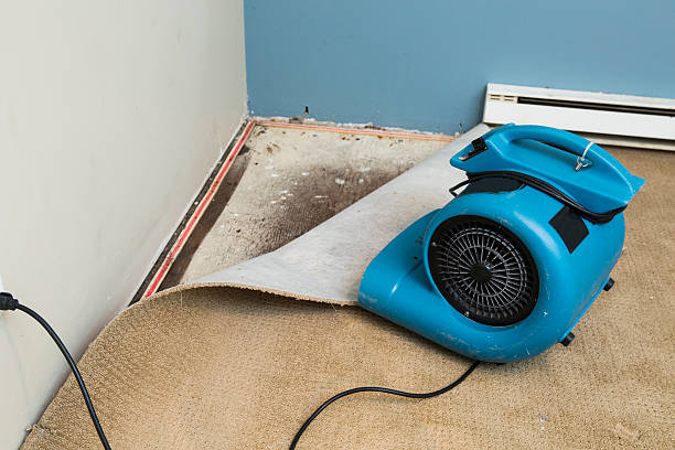Best Flooded house restoration  in Cave City, KY