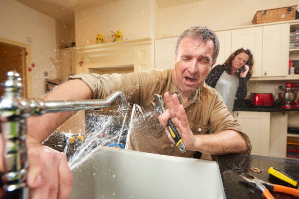 Best Flooded house restoration  in Cave City, KY